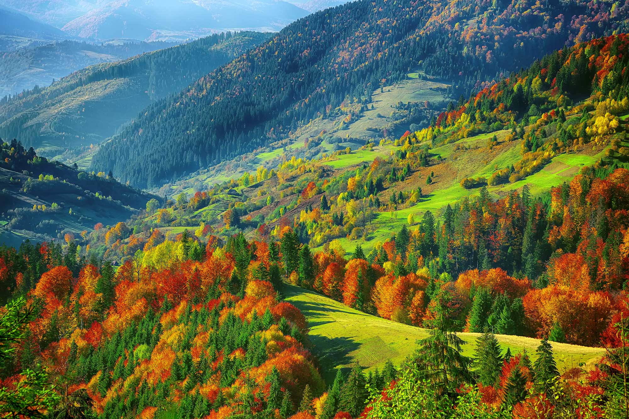 Equestrian Land